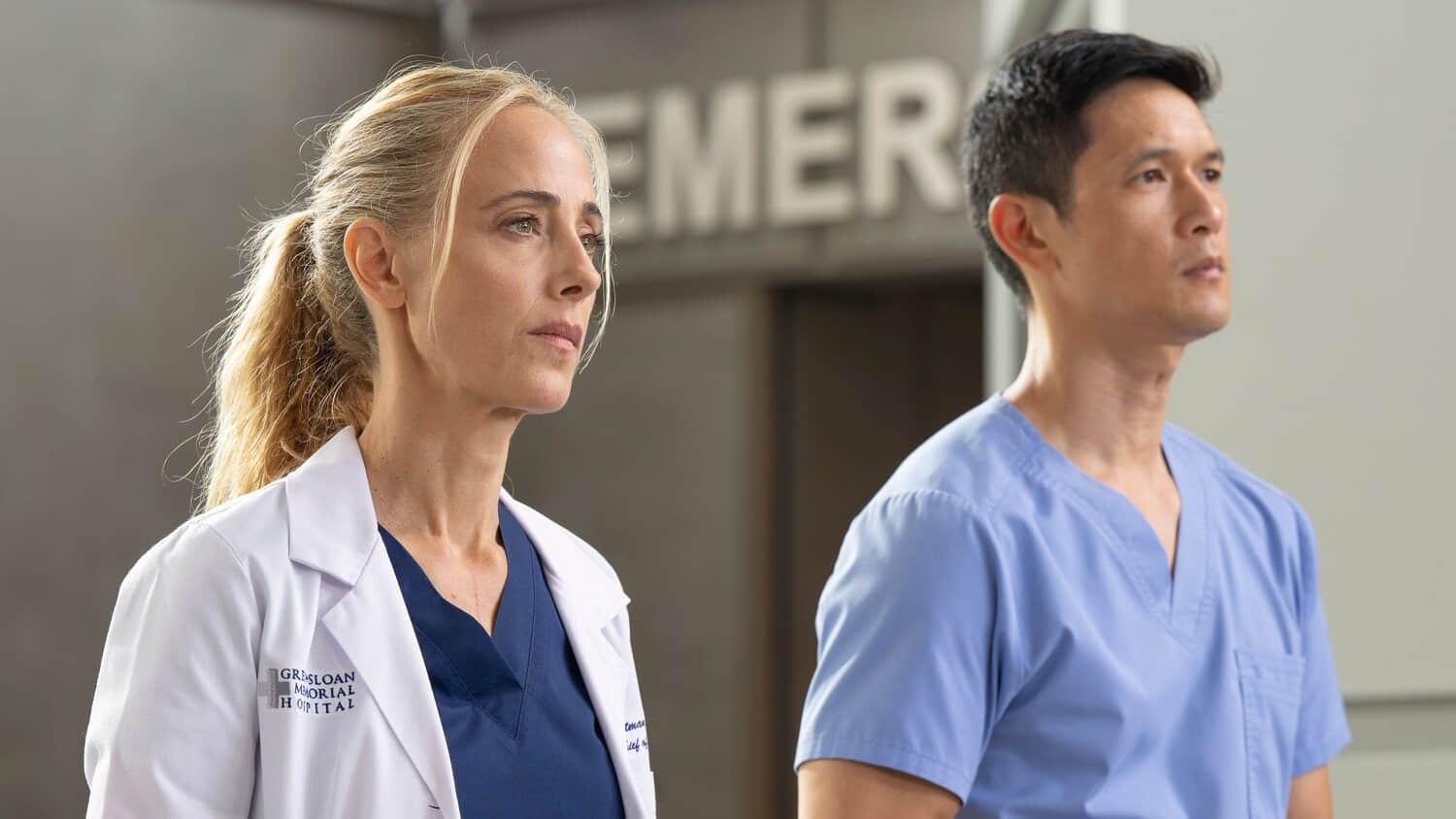 teddy-and-blue-grey-s-anatomy-s22.jpeg