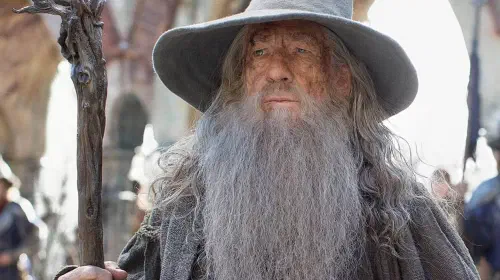 assets/gandalf-the-grey.jpeg