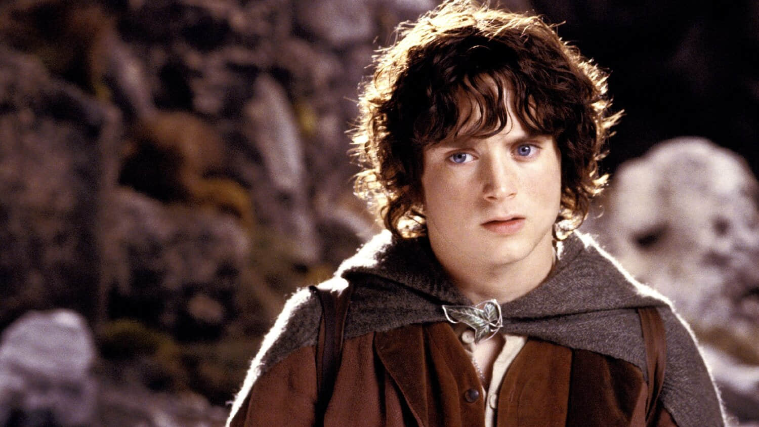 frodo-in-the-lord-of-the-rings.jpeg