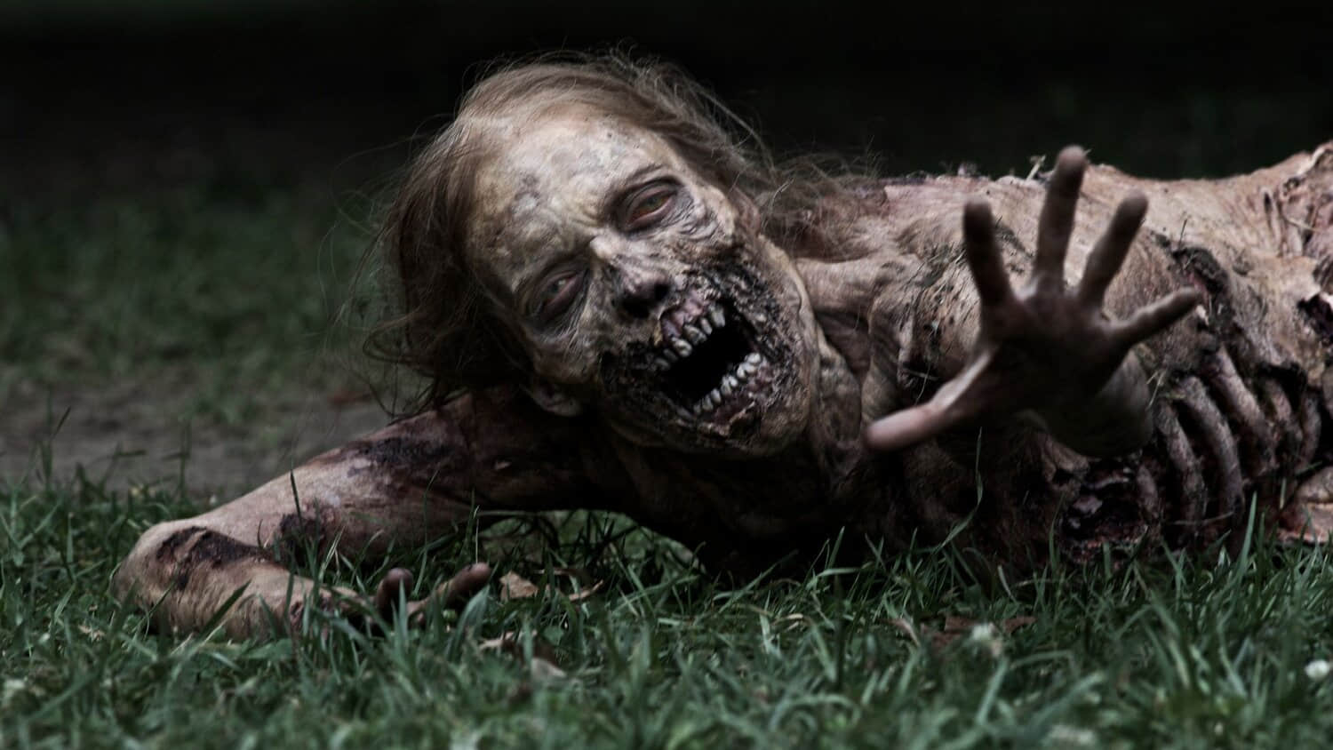 the-walking-dead-still-featuring-a-zombie-reaching-out-in-the-grass.jpeg
