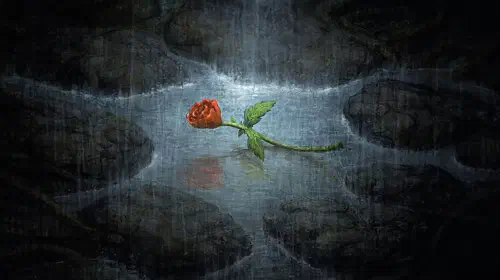 assets/amnesia-the-dark-descent-rose.jpeg