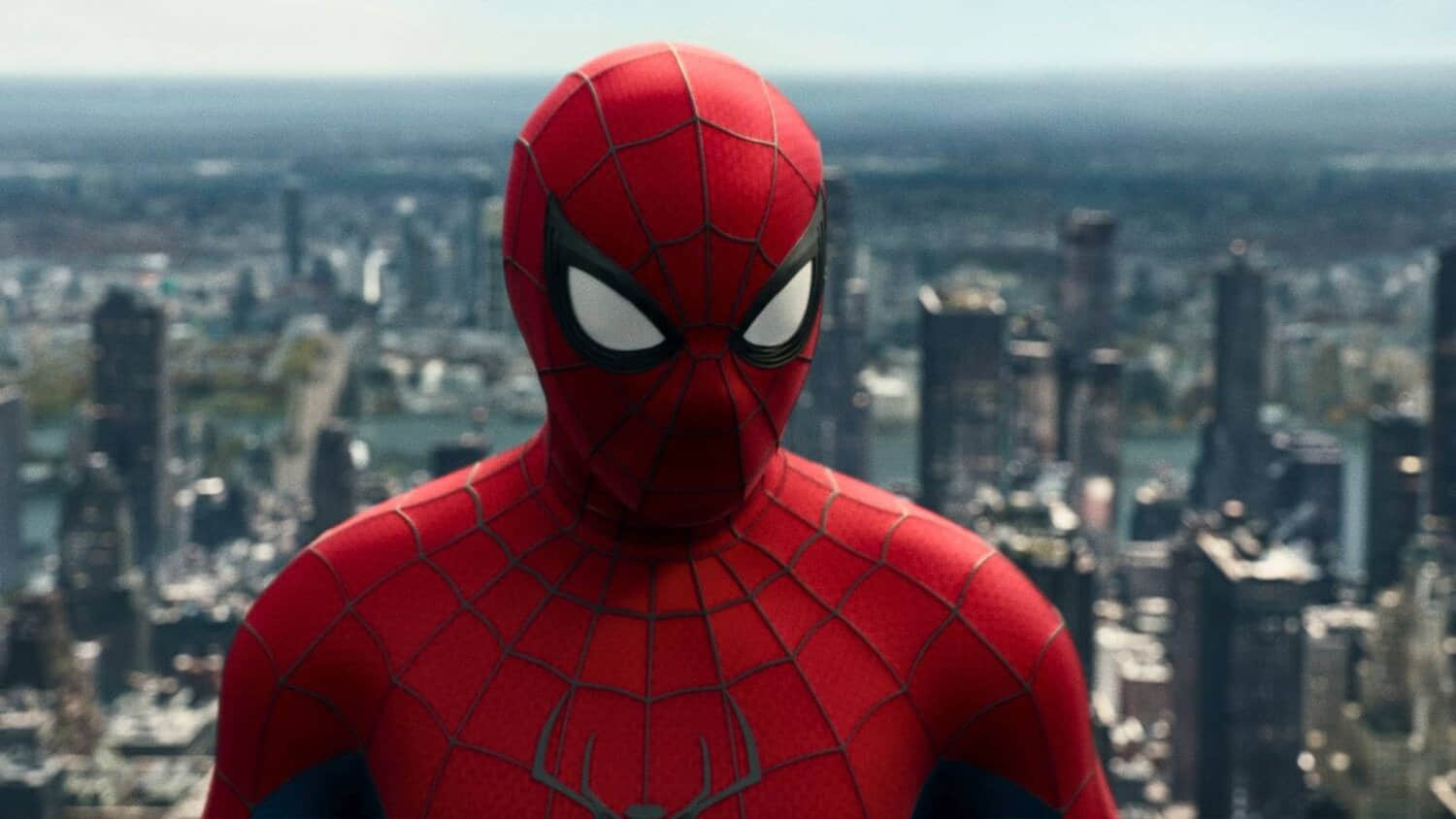 movieweb.jpeg