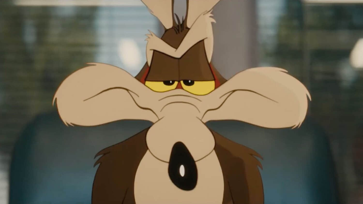 wile-e-coyote-in-coyote-vs-acme.jpeg