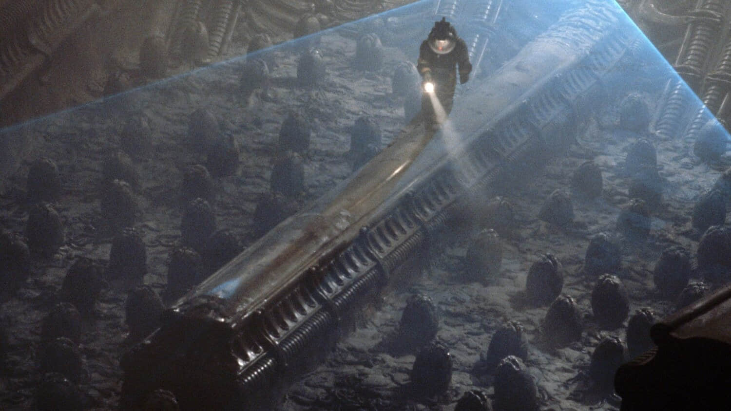 47-years-on-ridley-scott-still-masters-scifis-greatest-thriller-moments.jpeg