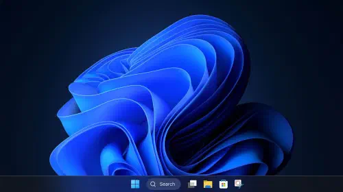 assets/Windows-11-2.jpeg