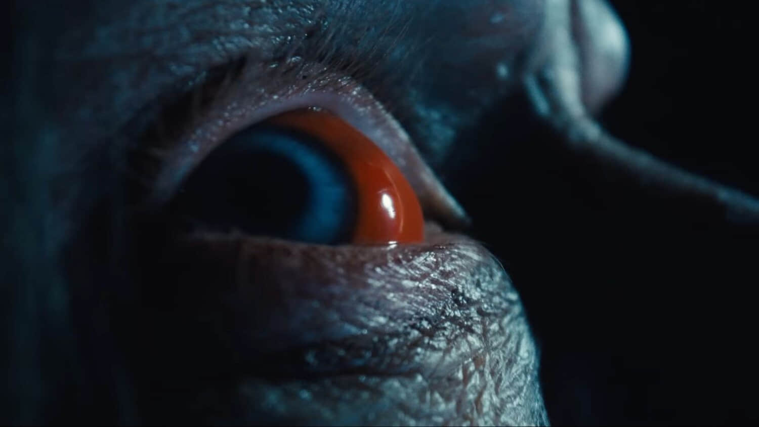 red-eye-looking-to-the-side-in-insidious-out-of-the-further.jpeg