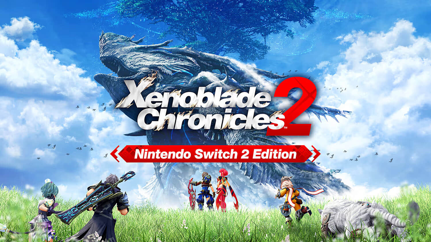 WCCFxenobladechronicles2Switch21.jpeg