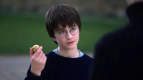 assets/harry-potter-with-the-philosopher-s-stone.jpeg