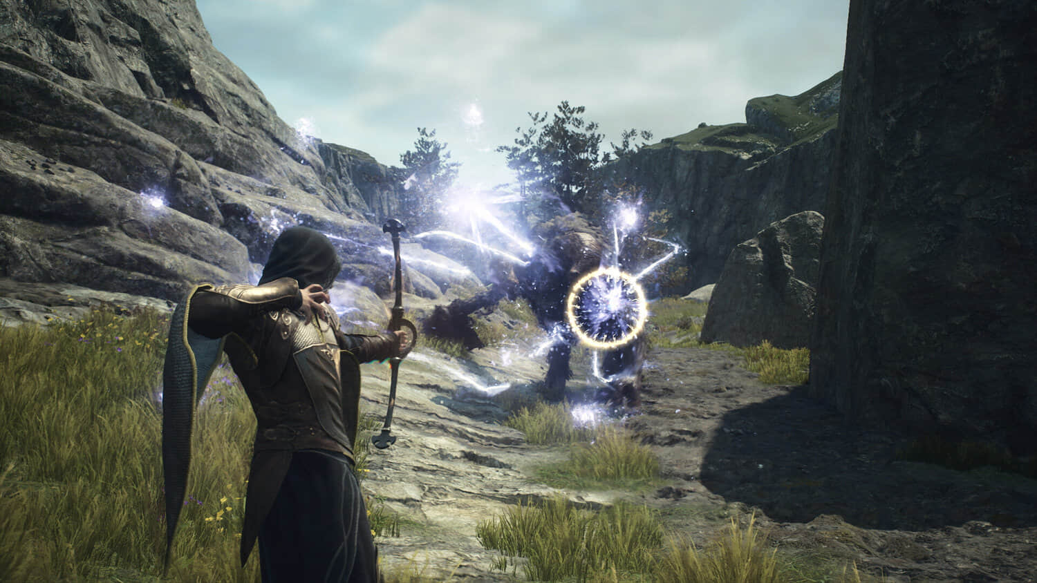 Dragons-Dogma-2-Co-Op-Mod.jpeg