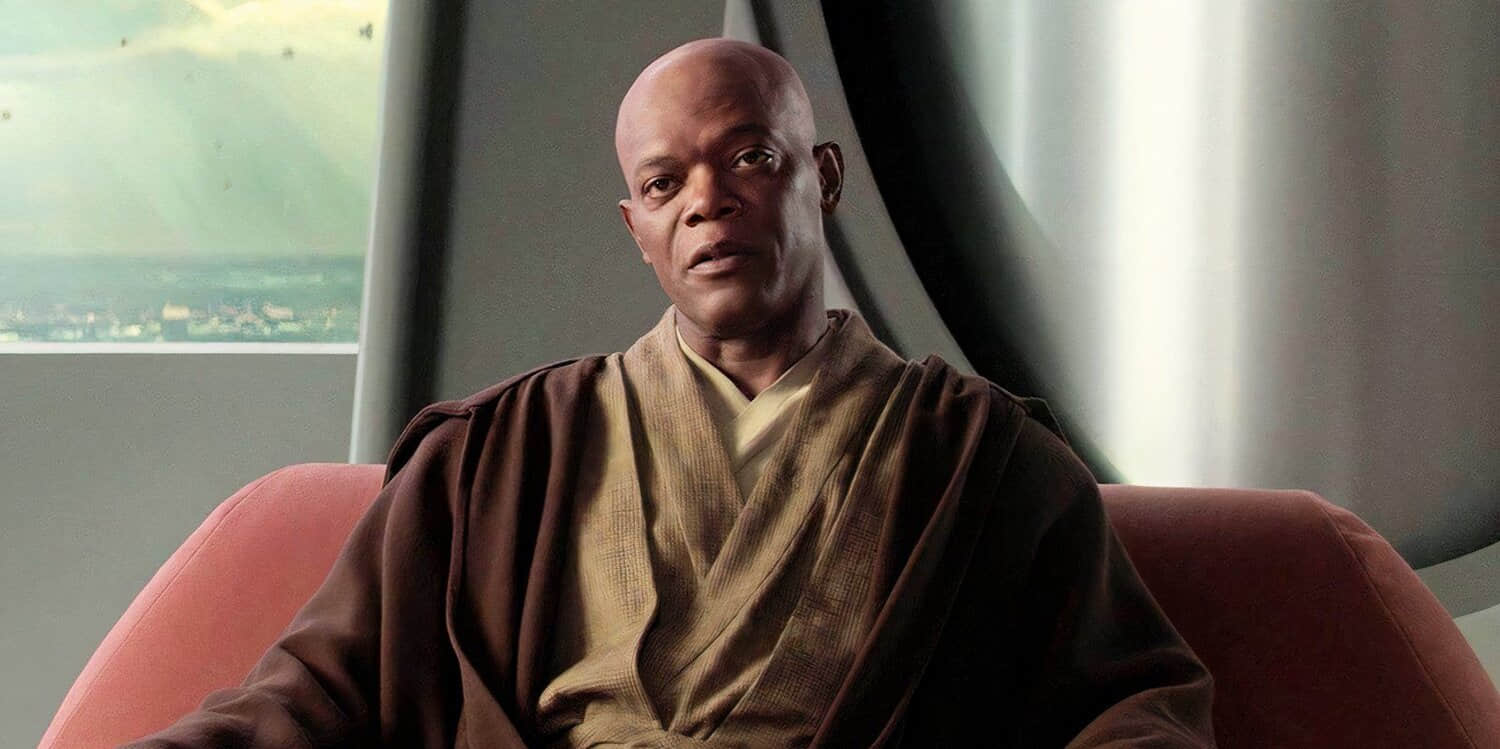mace-windu-speaking-with-anakin-in-revenge-of-the-sith.jpeg