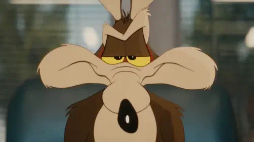 assets/wile-e-coyote-in-coyote-vs-acme.jpeg