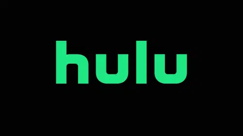 assets/hulu-logo.jpeg