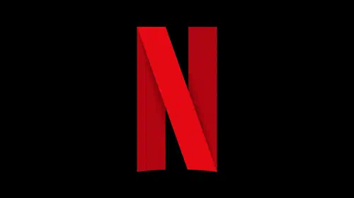 assets/netflix-logo.jpeg