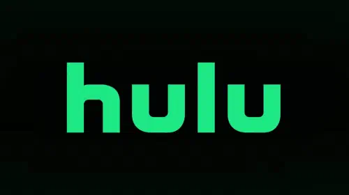 assets/hulu-logo.jpeg