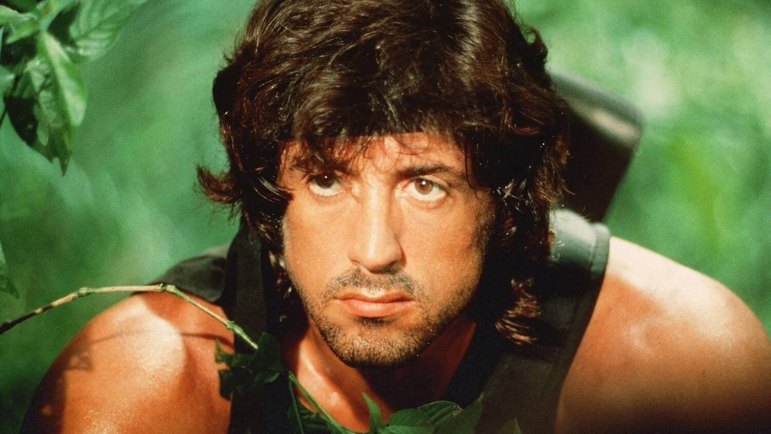 sylvester-stallone-in-rambo-first-blood-part-ii.jpeg