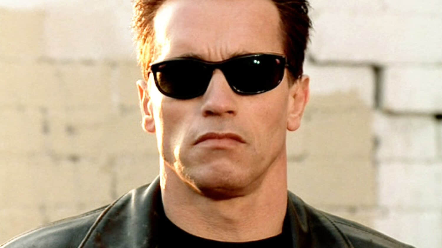 arnold-schwarzenegger-as-the-t800-in-terminator-2.jpeg