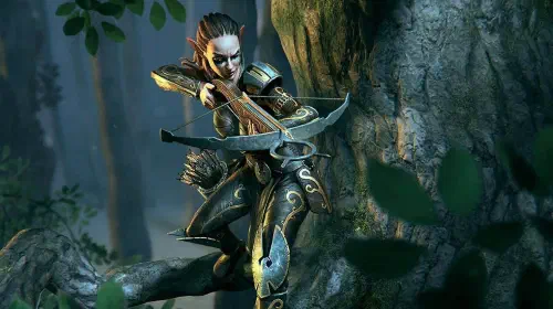 assets/valenwood-sentry-elder-scrolls.jpeg