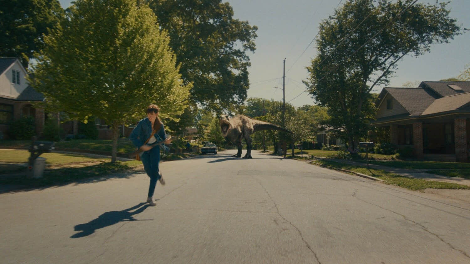 most-threatening-three-dinosaurs-in-oak-street-end-ranked-by-danger-level.jpeg