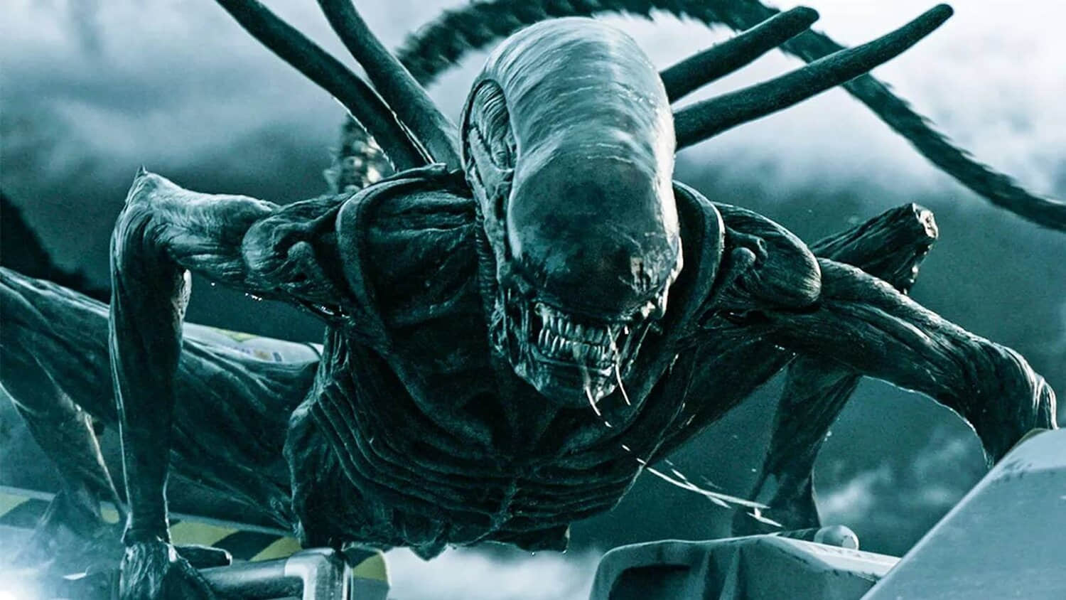 the-xenomorph-in-alien-covenant.jpeg