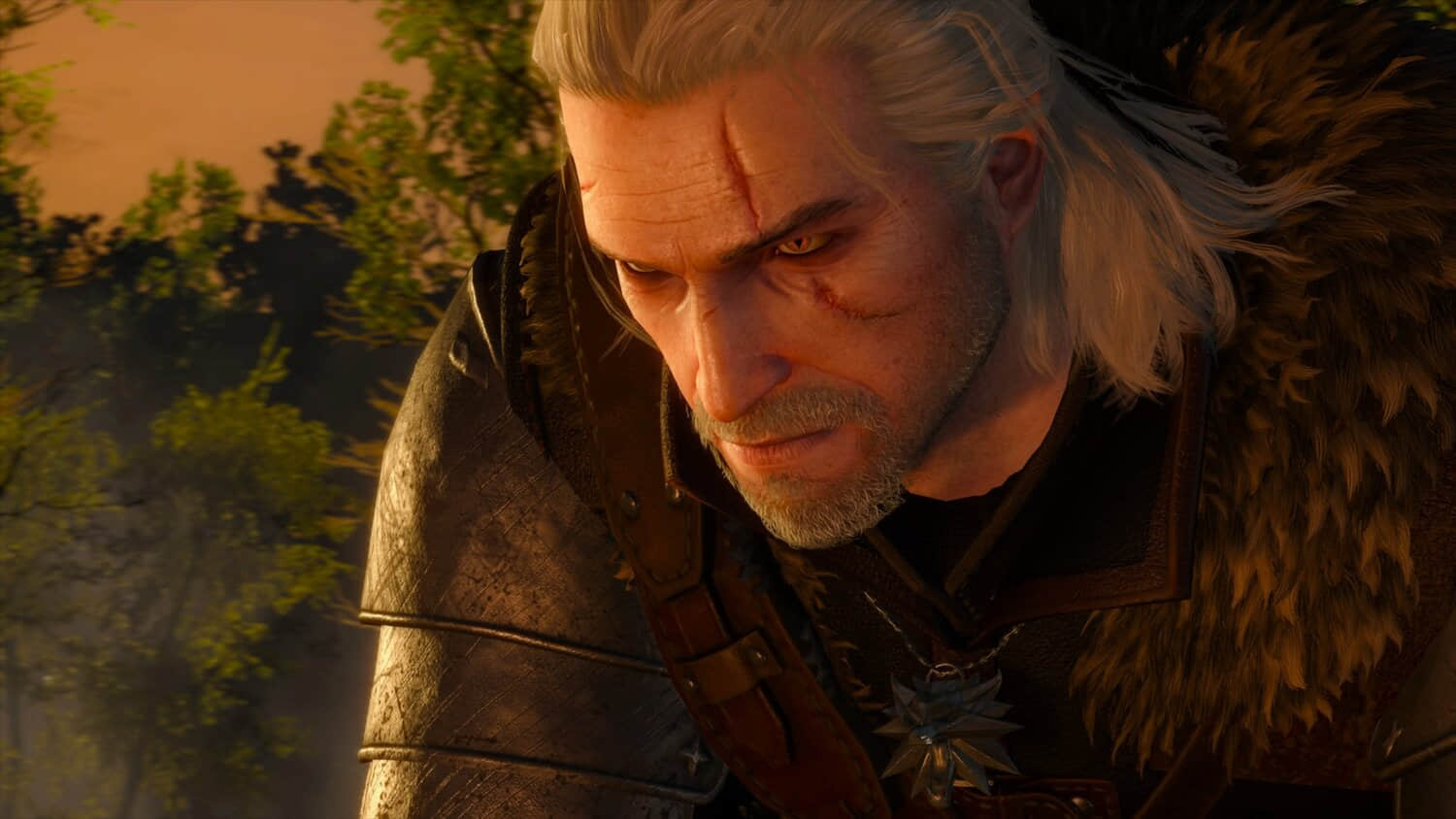 The-Witcher-4-Development-Halted-Remake.jpeg