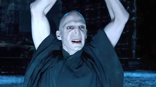 assets/voldemort-with-his-arms-up-in-harry-potter-and-the-order-of-the-phoenix.jpeg