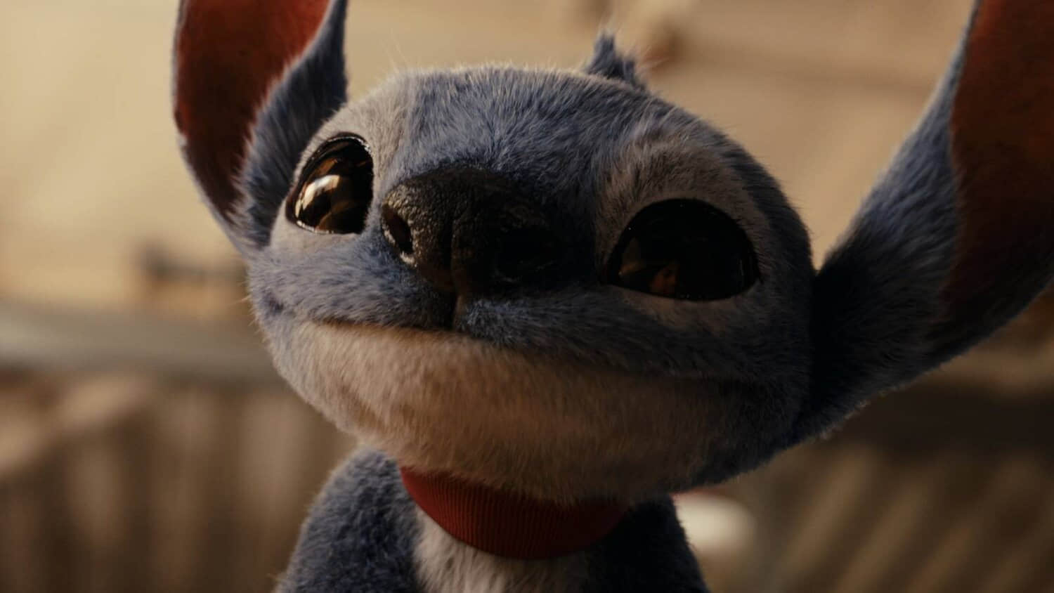 stitch-looking-up-in-the-2025-lilo-stitch.jpeg