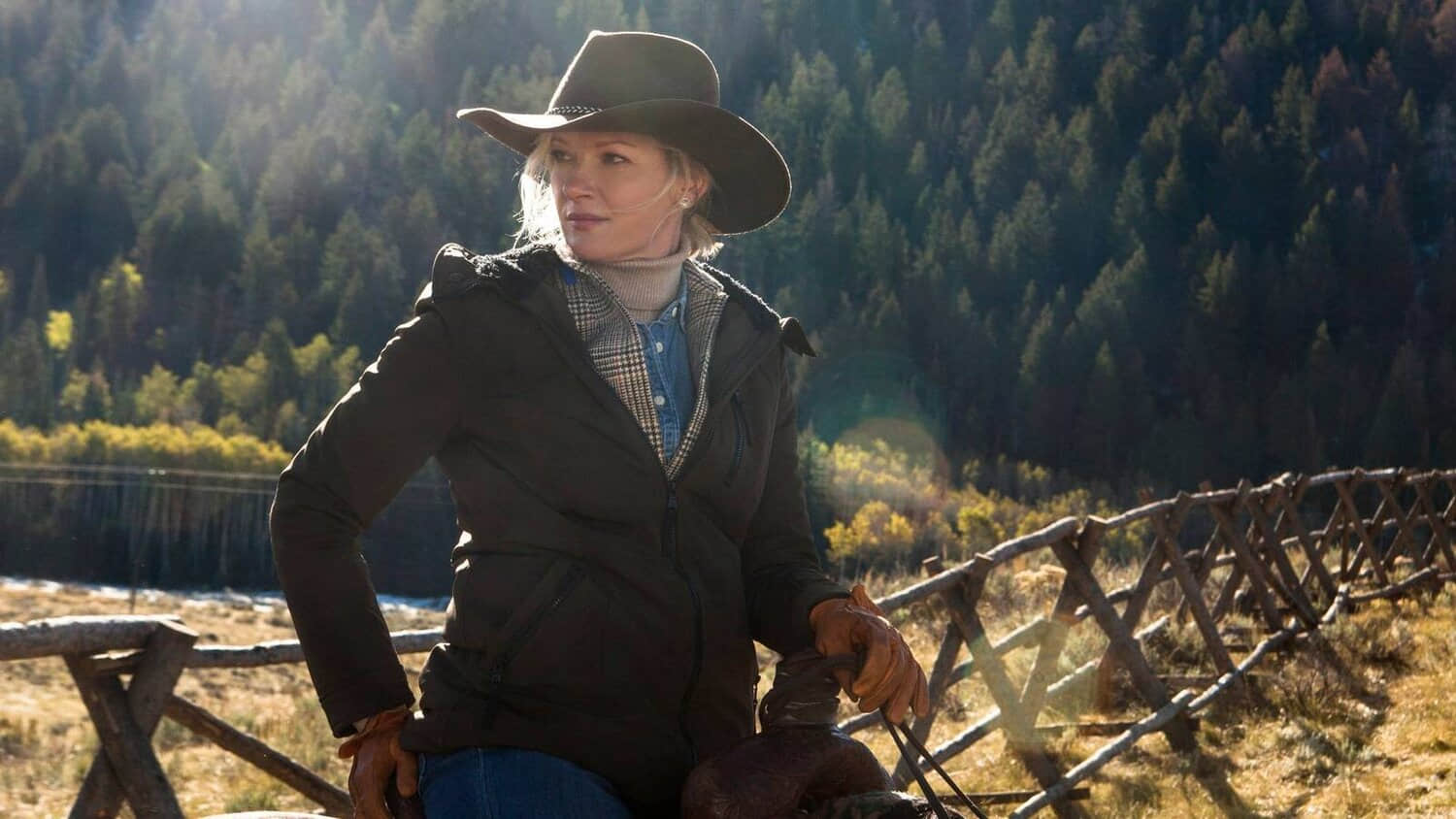 yellowstone-gretchen-mol-evelyn-dutton.jpeg