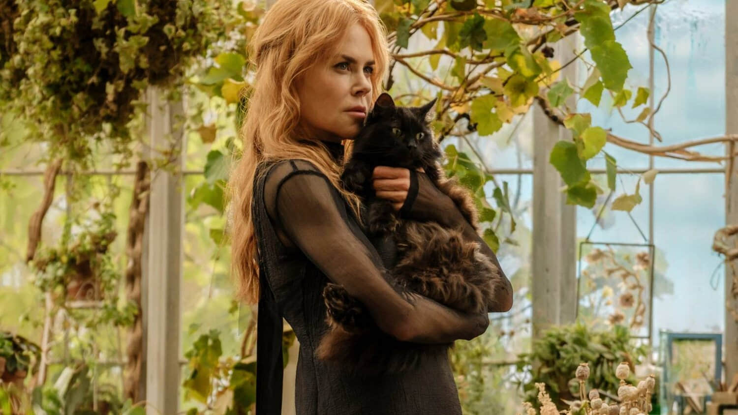 nicole-kidman-holding-a-cat-in-practical-magic-2.jpeg