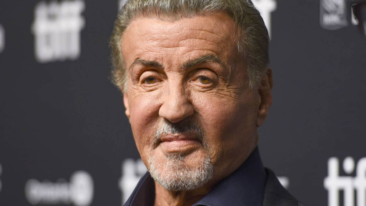 sylvester-stallone.jpeg
