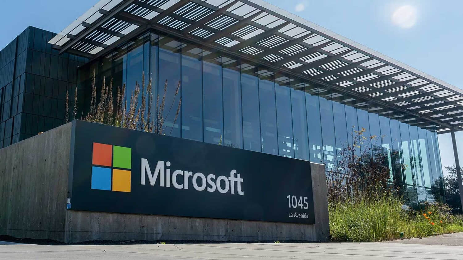 Microsoft.jpeg