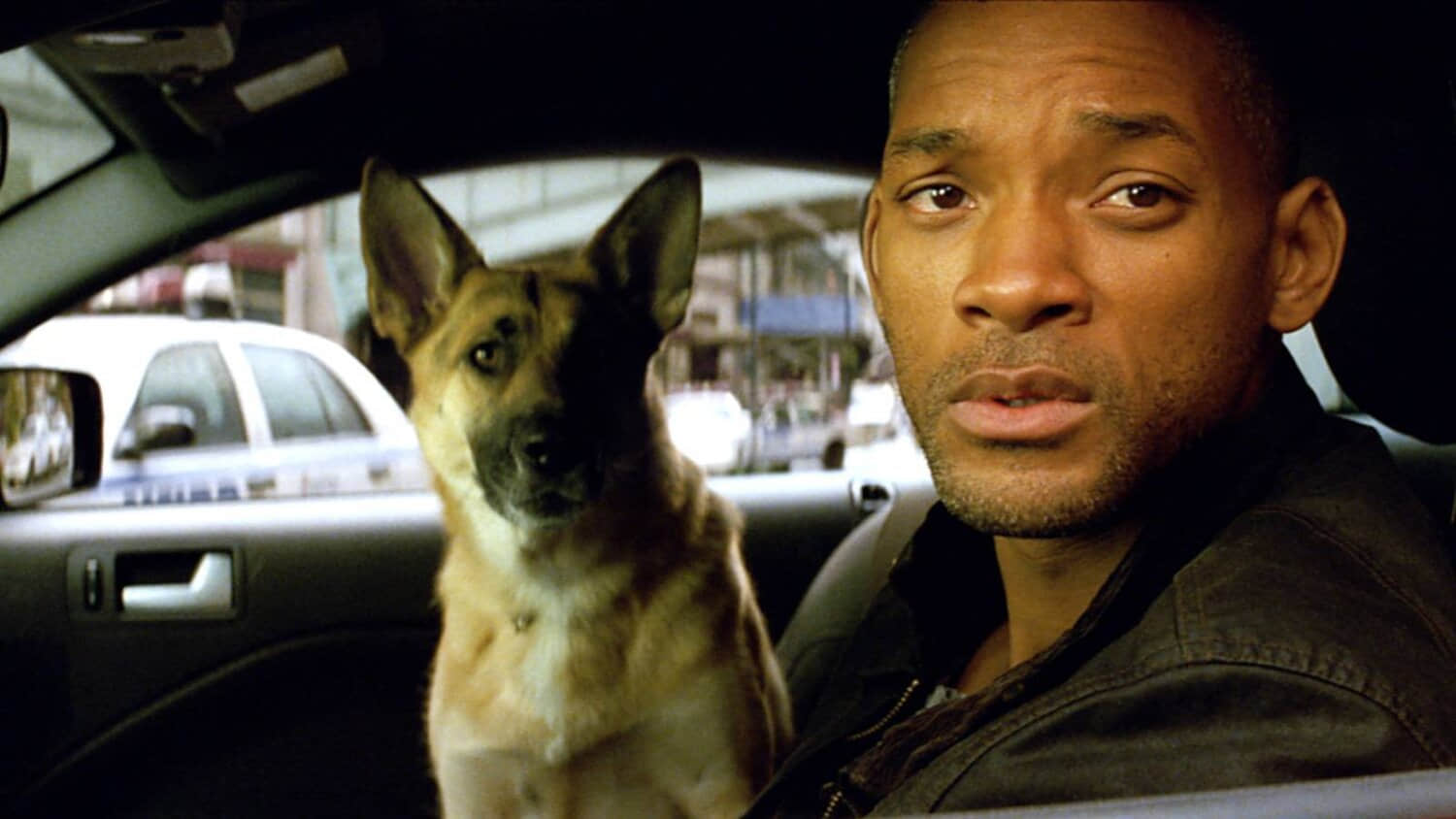 will-smith-and-sam-in-i-am-legend.jpeg
