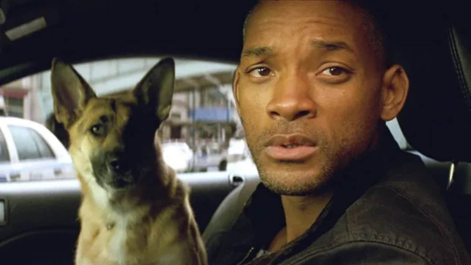 i-am-legend-dog.jpeg