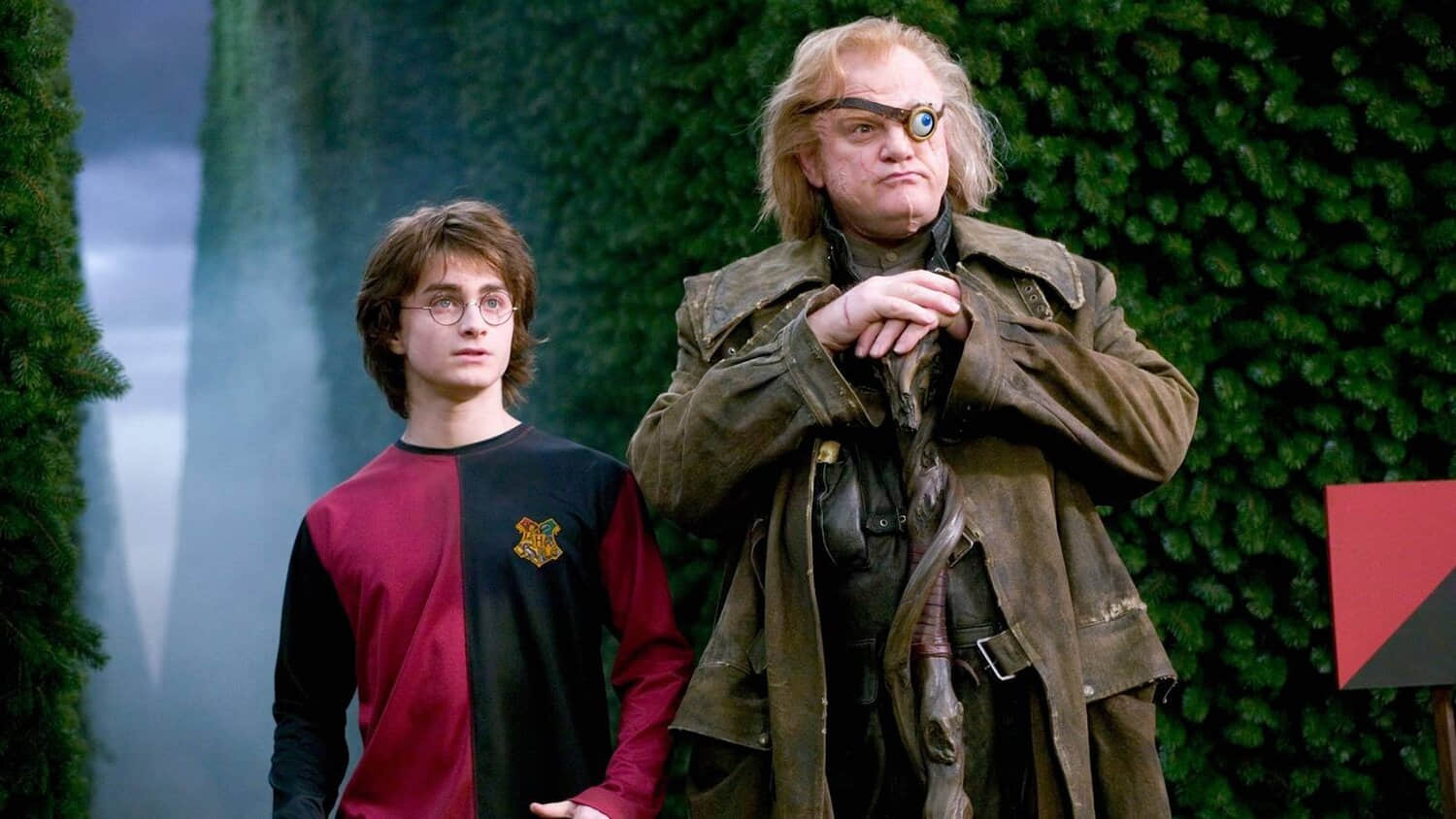 harry-potter-daniel-radcliffe-brendan-gleeson.jpeg