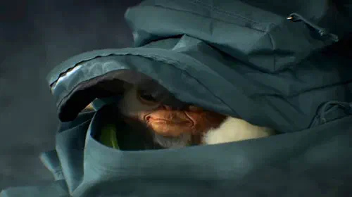 《小魔怪3》正式确认，吉兹莫回归定档2028年10月6日