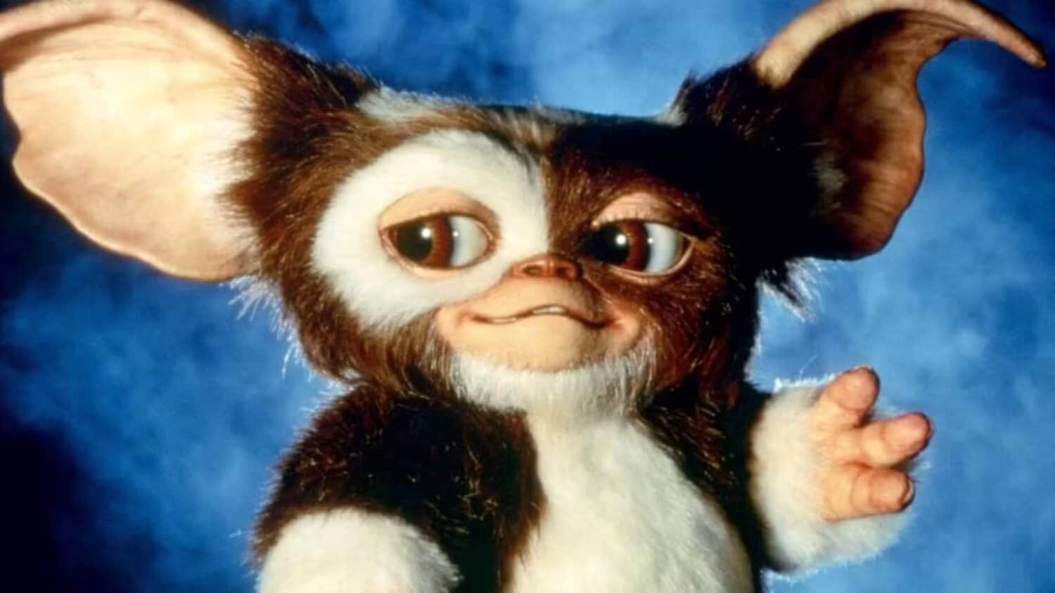 gizmo-from-gremlins.jpeg