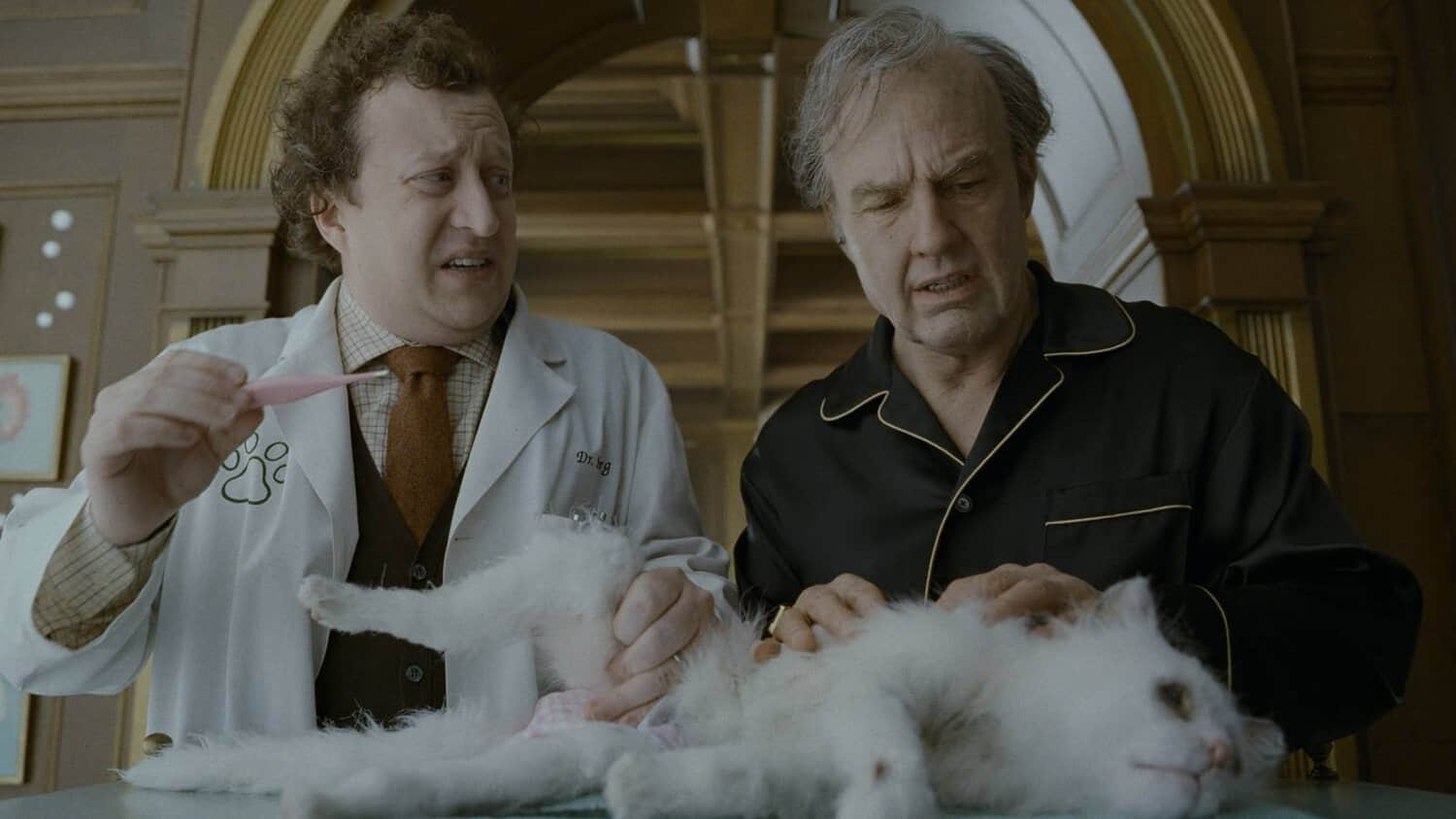 digger-and-a-vet-talking-over-digger-s-decrepit-cat-maggie-in-digger.jpeg