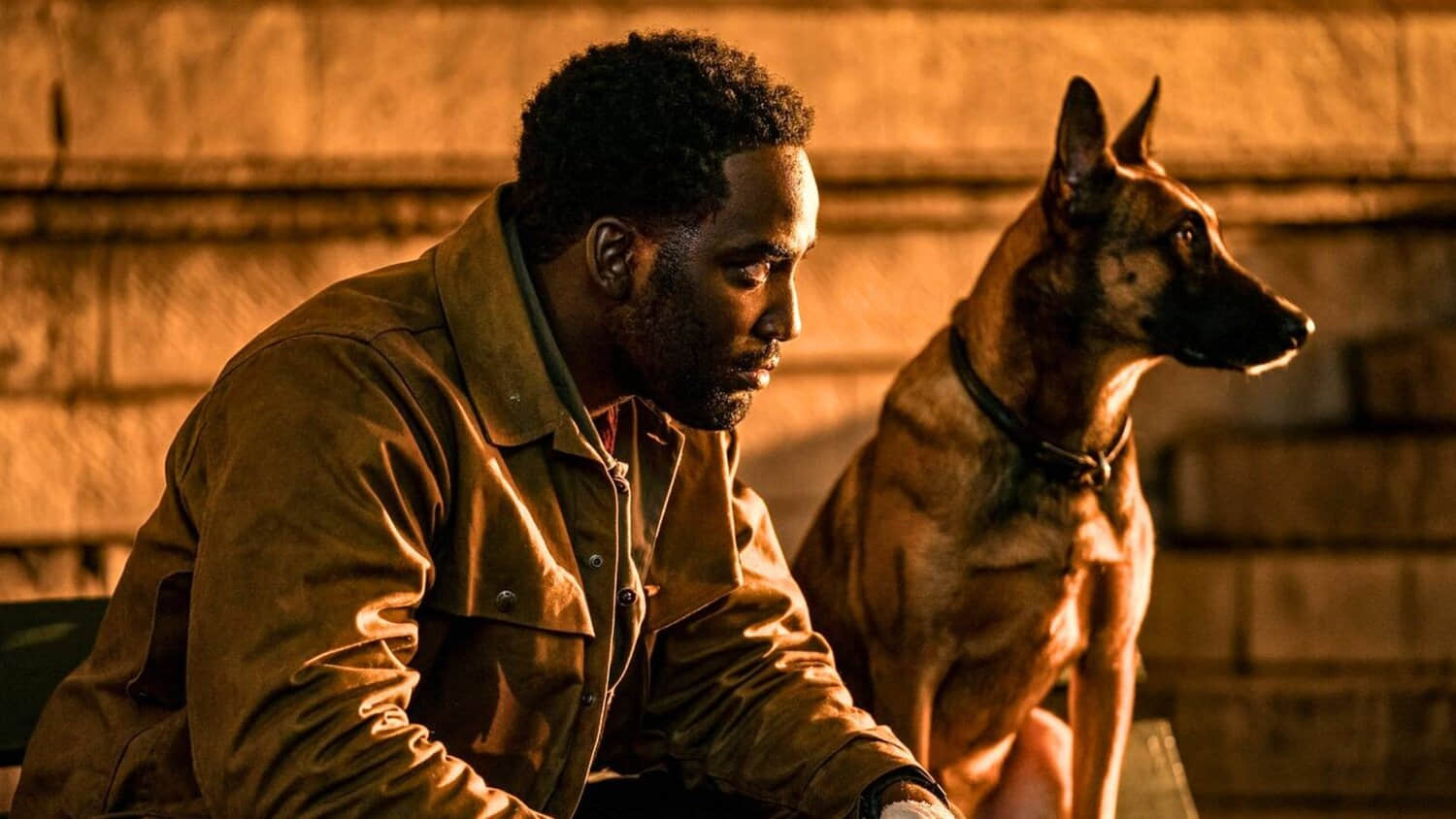 shamier-anderson-in-john-wick-4.jpeg