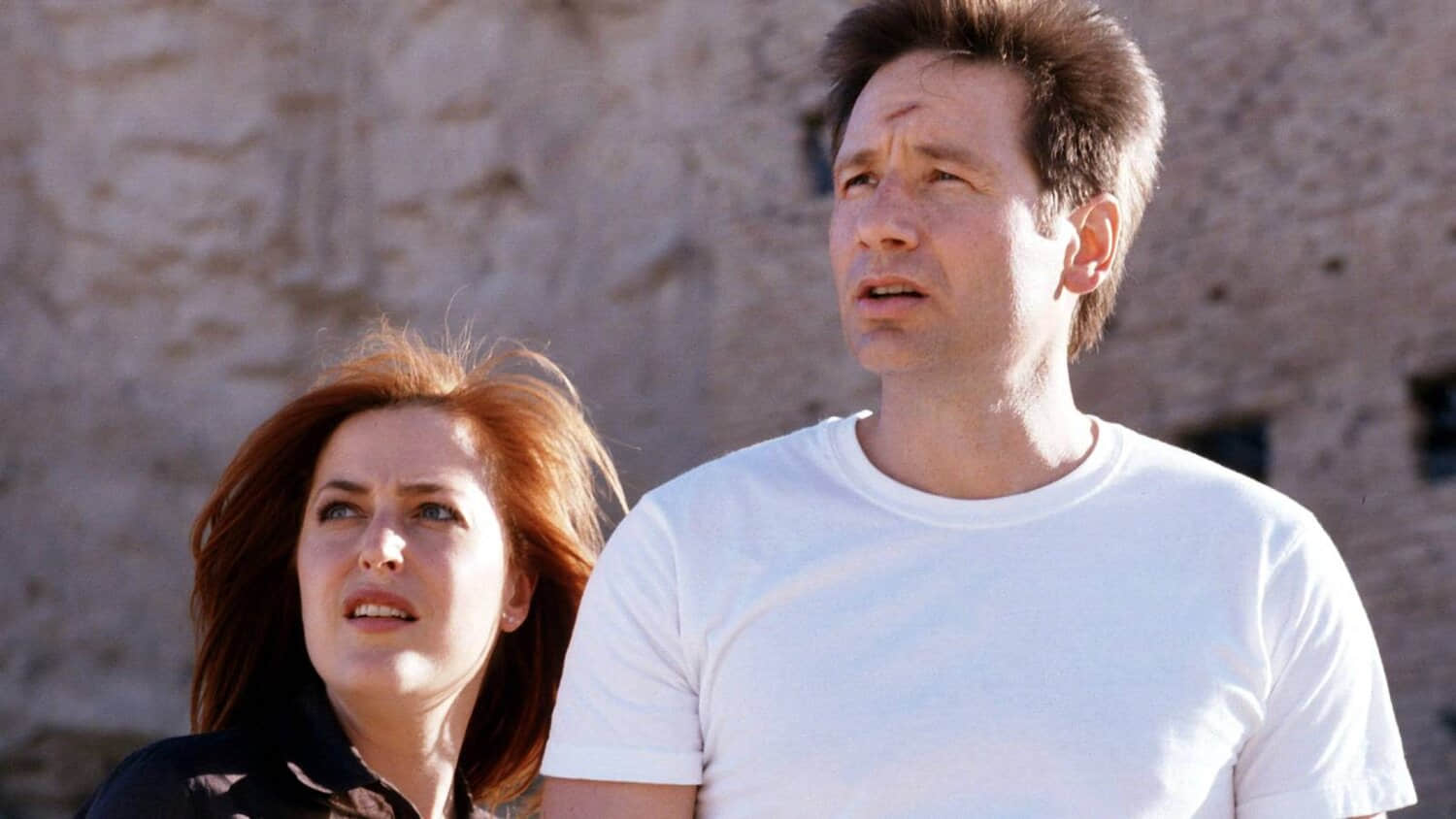 the-x-files-finale.jpeg