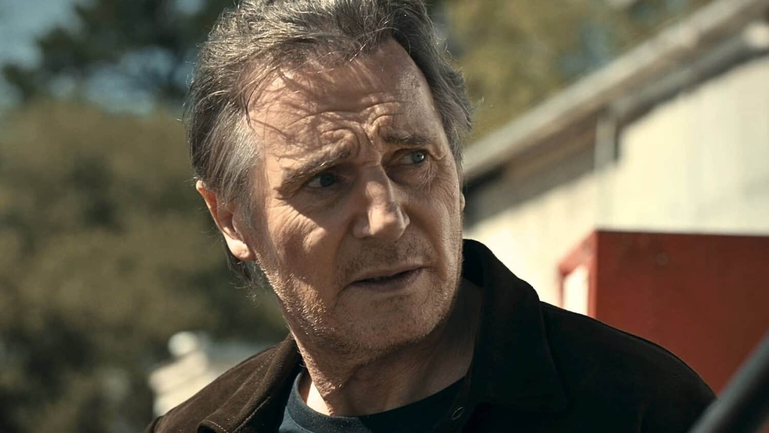 liam-neeson-mongoose.jpeg