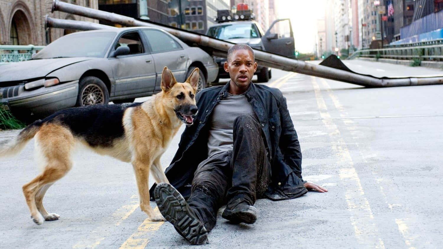 will-smith-in-i-am-legend.jpeg