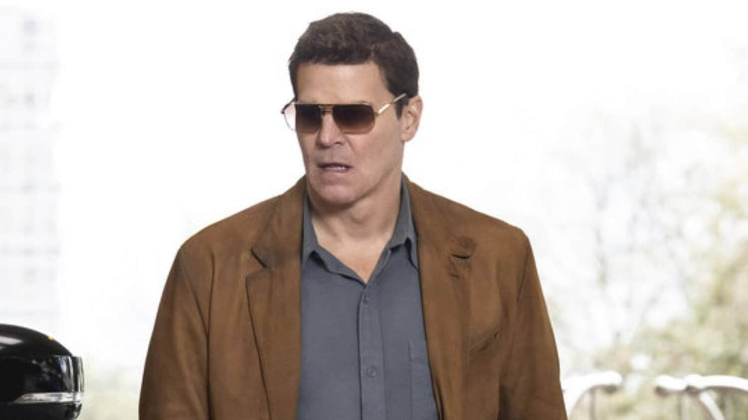 david-boreanaz-in-rockford-files.jpeg