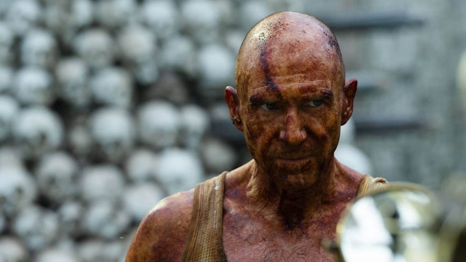 ralph-fiennes-28-years-later.jpeg