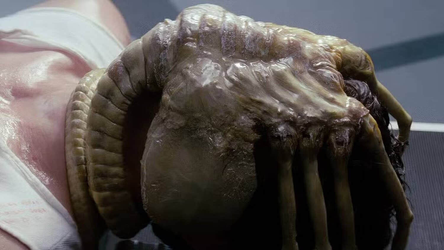 facehugger-in-alien-1979.jpeg