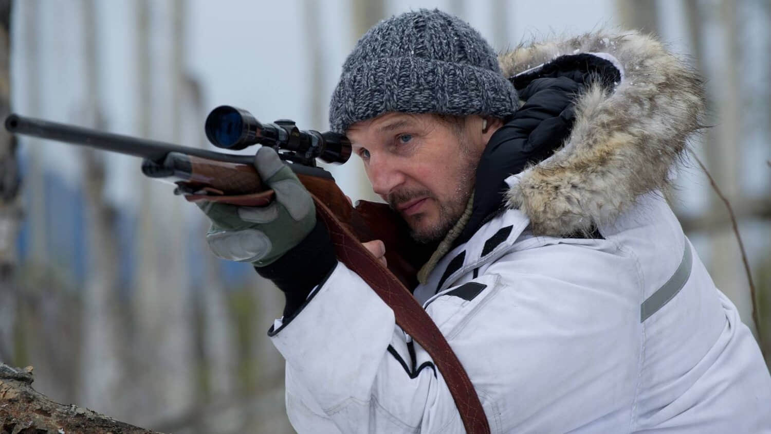 liam-neeson-117-minute-action-thriller-stuns-roger-ebert-leaves-netflix.jpeg