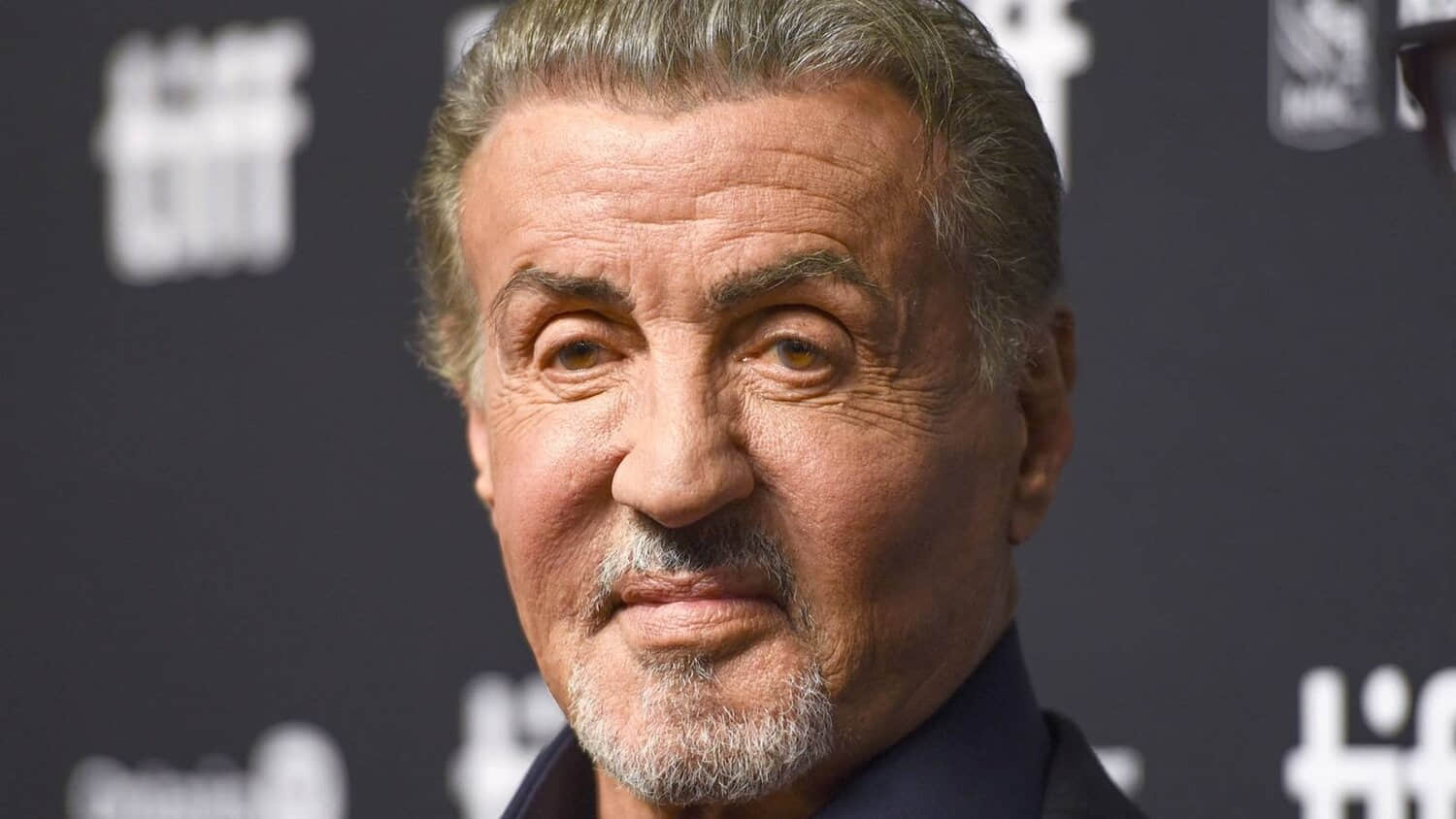 sylvester-stallone-at-the-toronto-international-film-festival.jpeg